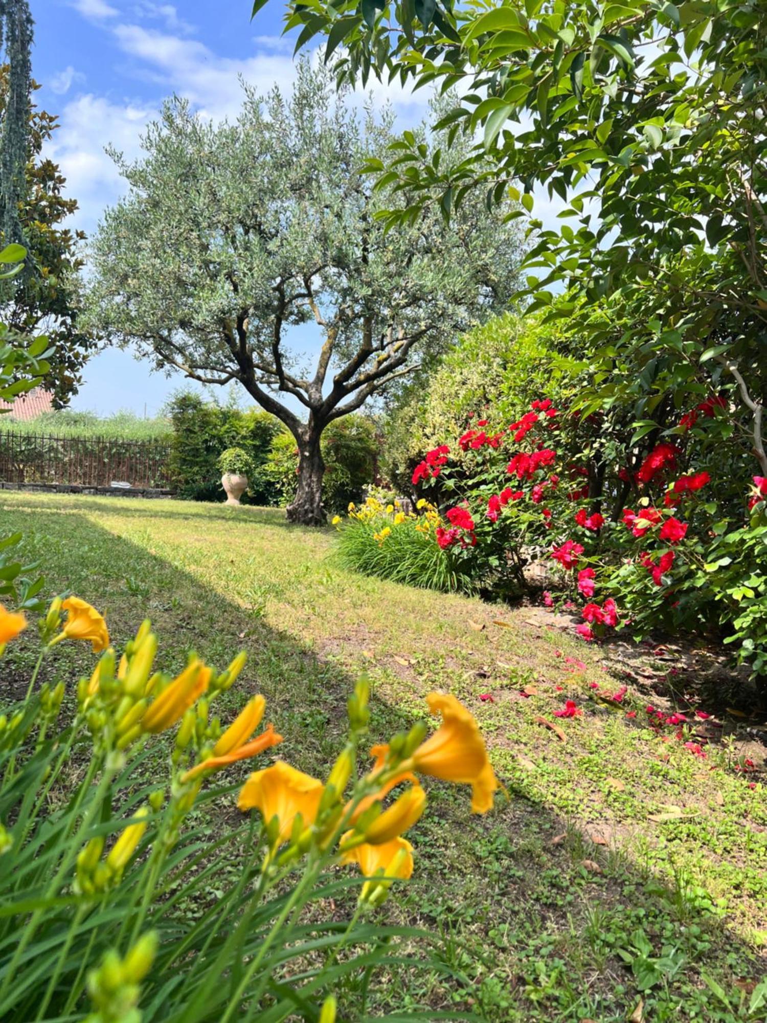 Residenza Borgo San Rocco Bed & Breakfast SantʼAmbrogio di Valpolicella Exterior foto